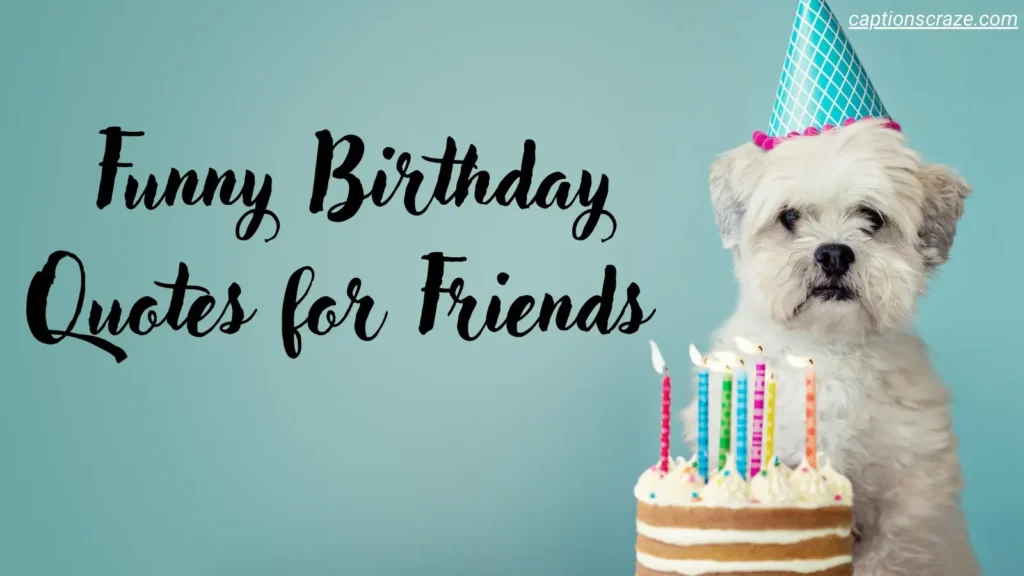 funny-birthday-quotes-for-friends