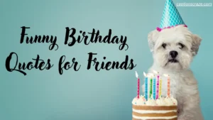 funny-birthday-quotes-for-friends