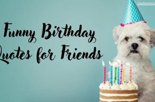 funny-birthday-quotes-for-friends