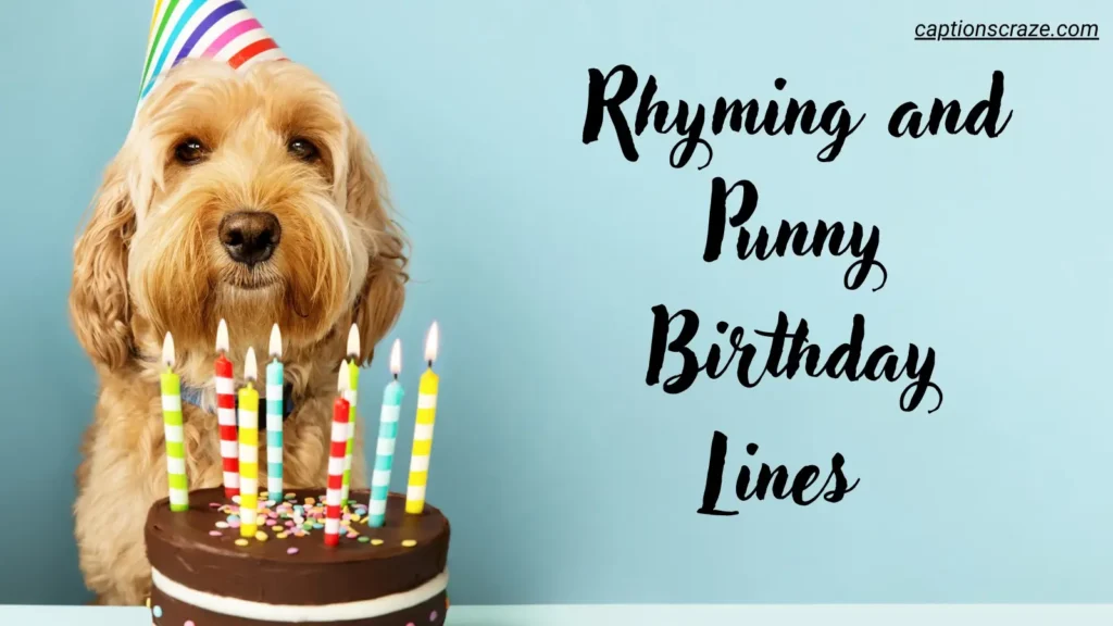 rhyming-and-punny-birthday-lines
