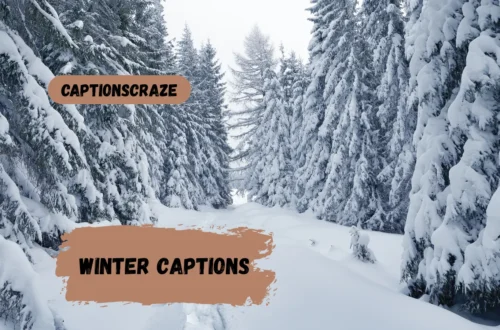winter-captions