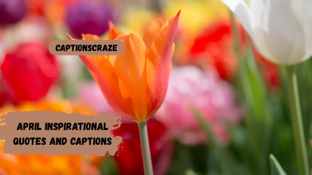 april-inspirational-quotes-and-captions