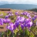 april-quotes