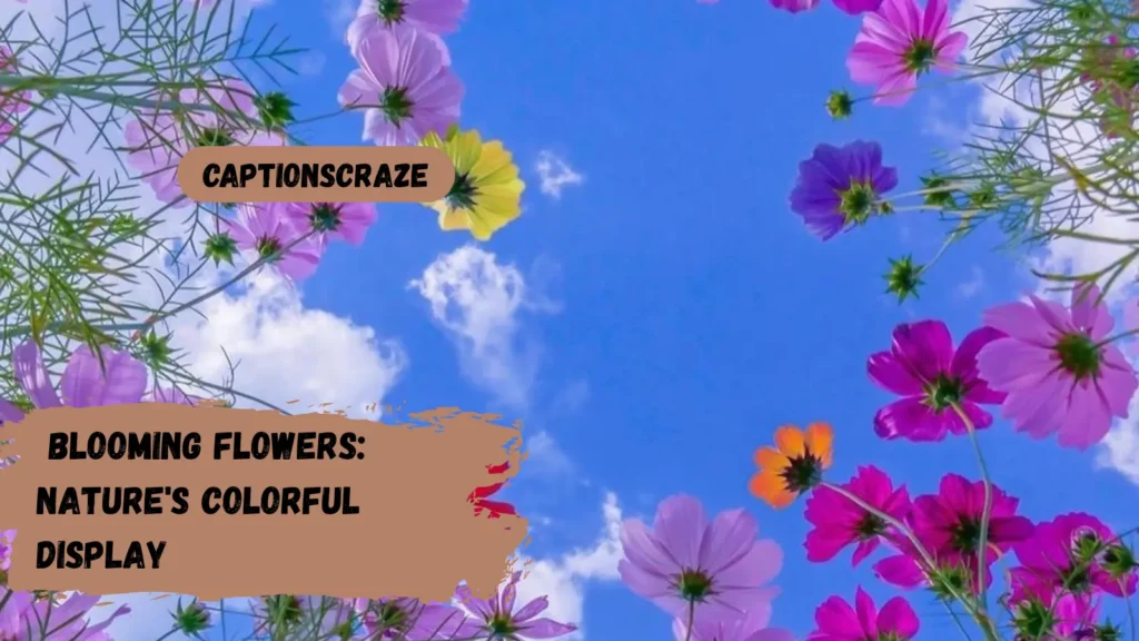 blooming-flowers-natures-colorful-display