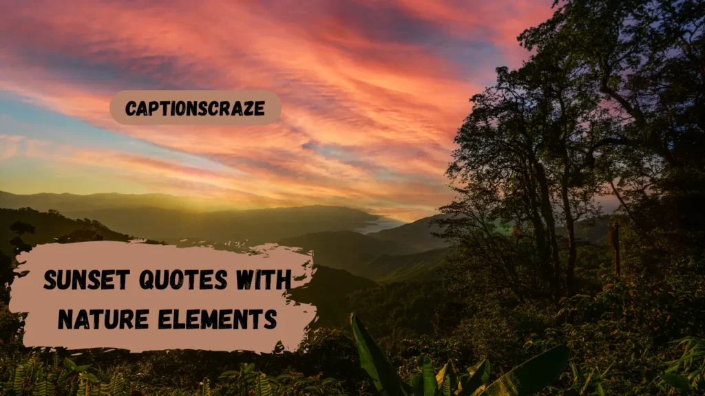 sunset-quotes-with-nature-elements