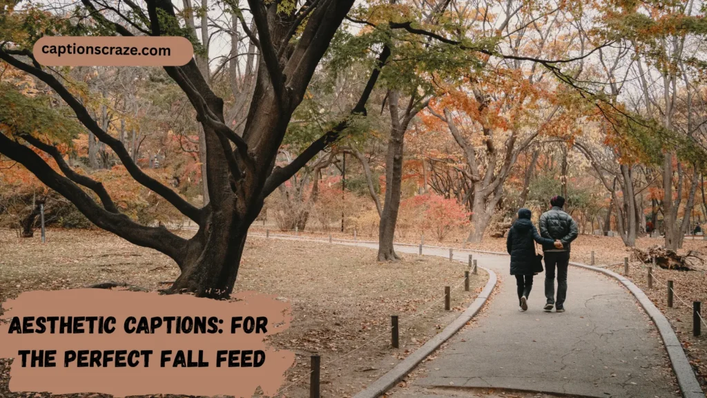 aesthetic-captions-for-the-perfect-fall-feed