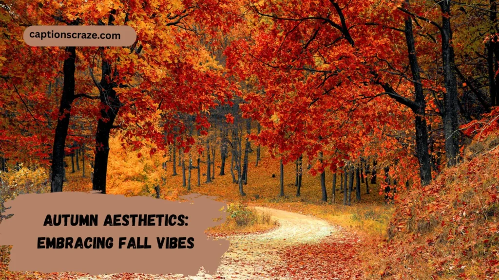 autumn-aesthetics-embracing-fall-vibes