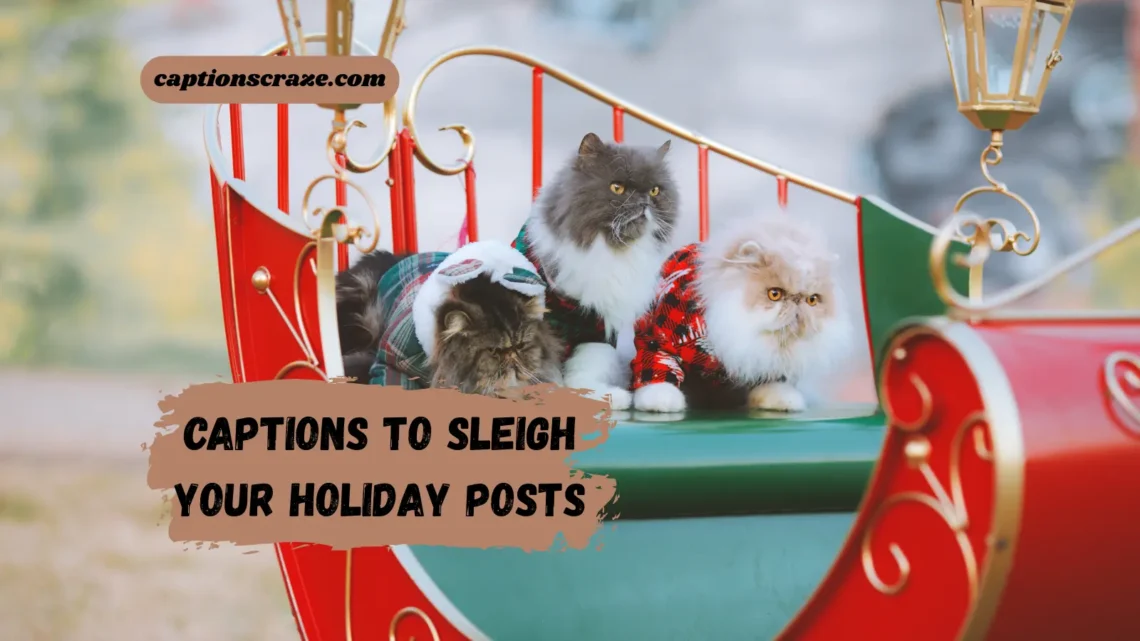 captions-to-sleigh-your-holiday-posts
