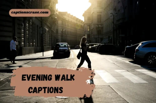 evening-walk-captions