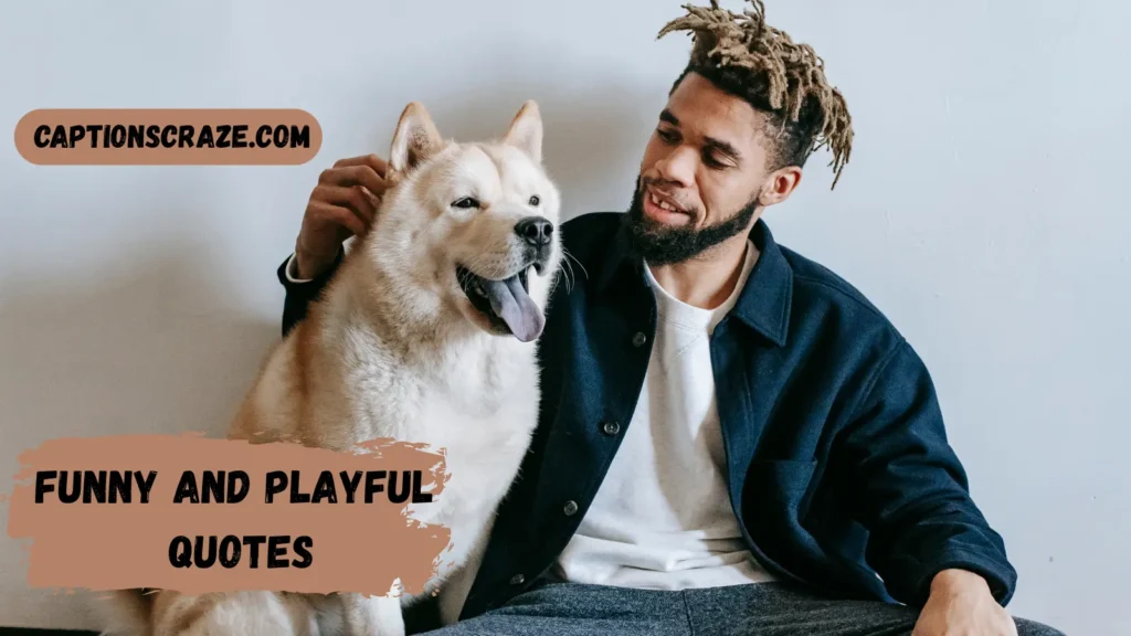 funny-and-playful-quotes