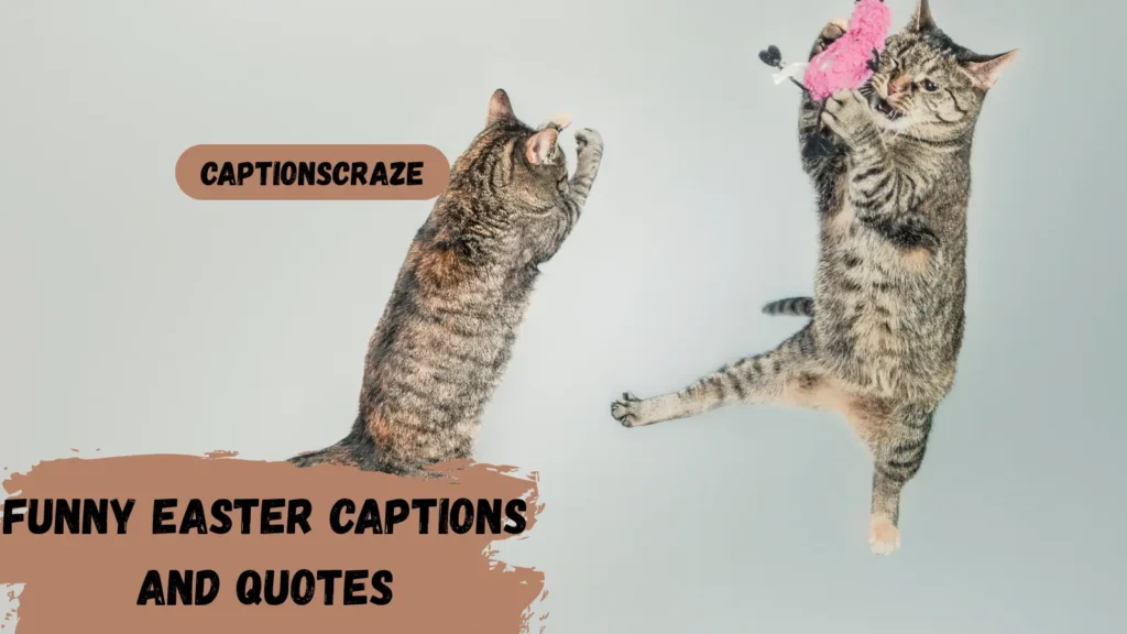 funny-easter-captions-and-quotes