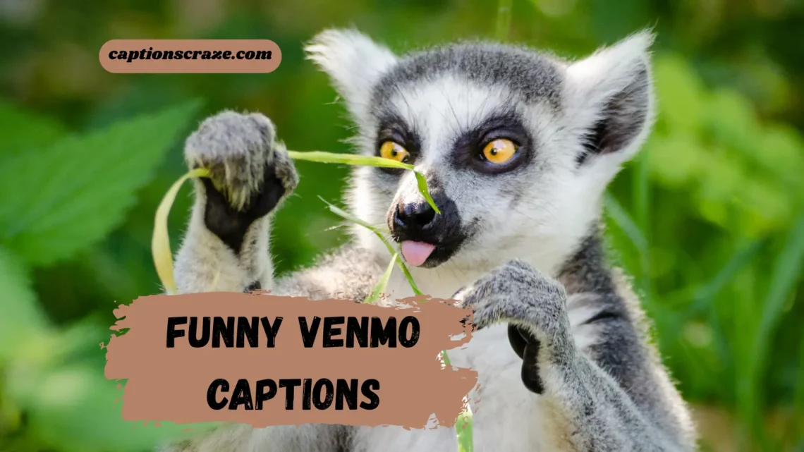 funny-venmo-captions