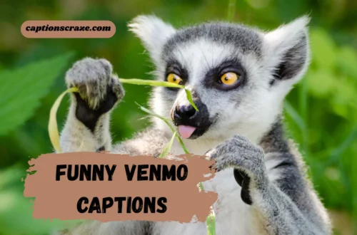 funny-venmo-captions