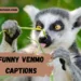 funny-venmo-captions