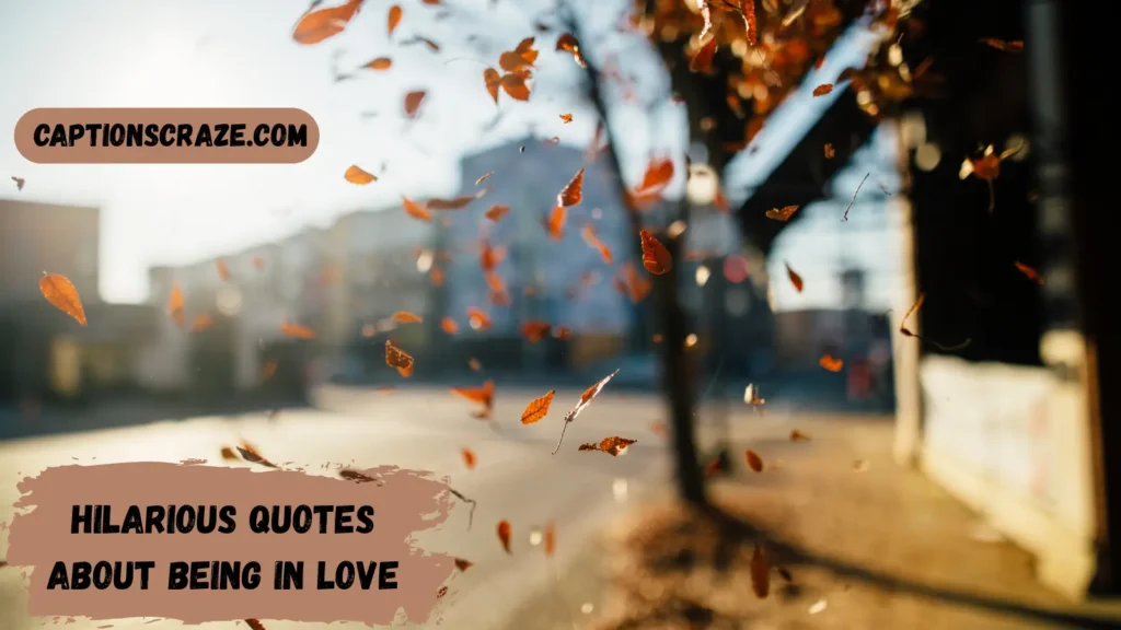hilarious-quotes-about-being-in-love