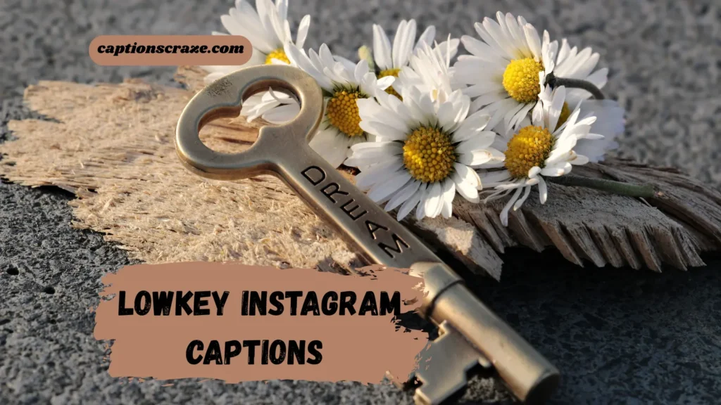 lowkey-instagram-captions