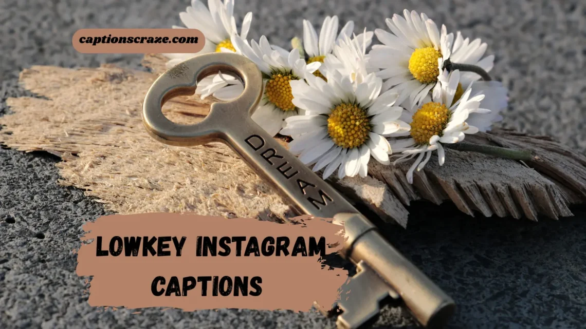 lowkey-instagram-captions