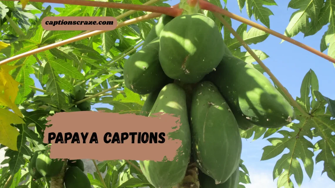 papaya-captions
