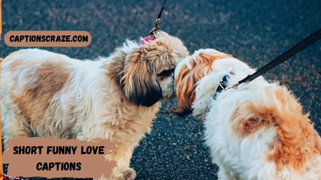 Short Funny Love Captions