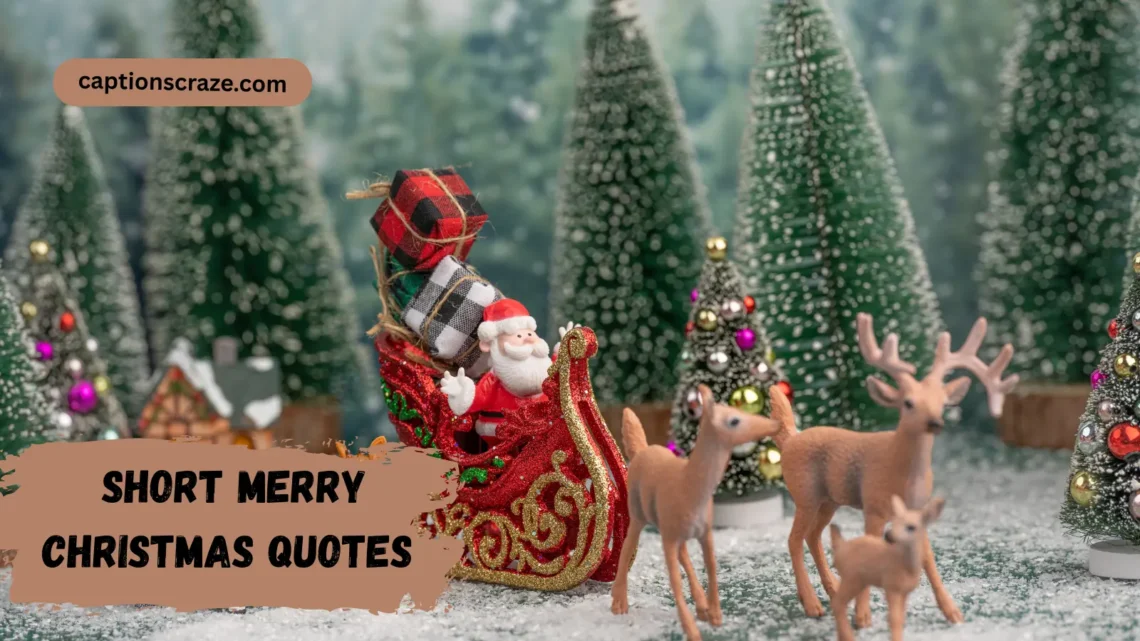short-merry-christmas-quotes