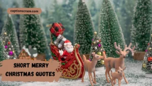 short-merry-christmas-quotes