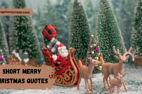 short-merry-christmas-quotes