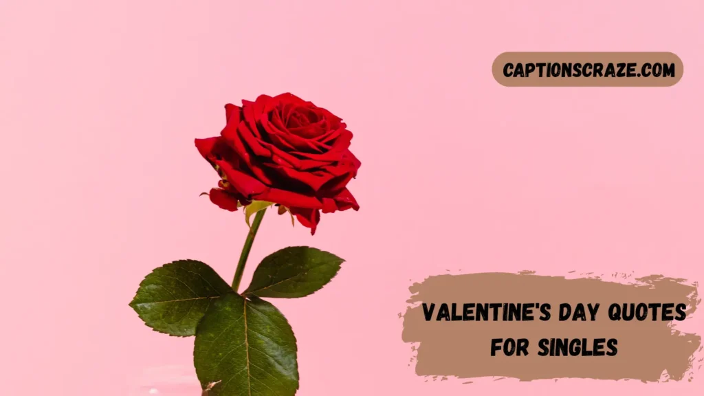 Valentine's Day Quotes for Singles
