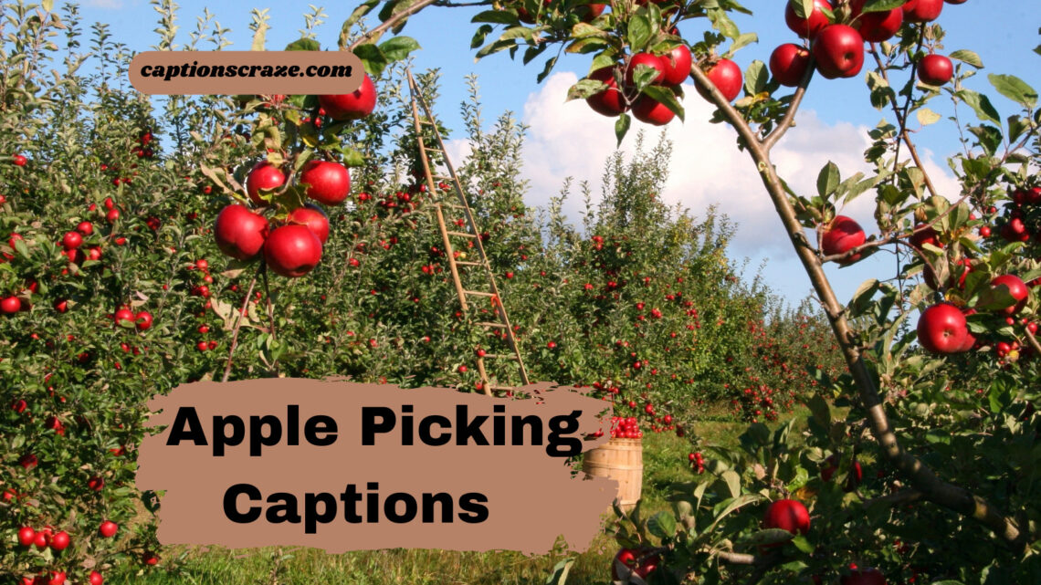 apple-picking-captions-for-instagram