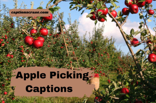 apple-picking-captions-for-instagram