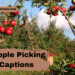 apple-picking-captions-for-instagram