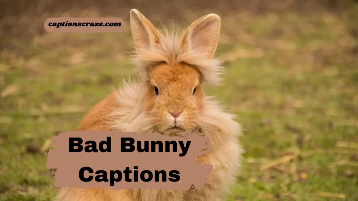 bad-bunny-captions-for-instagram