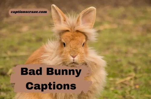 bad-bunny-captions-for-instagram