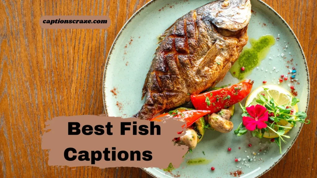 best-fish-captions-for-instagram