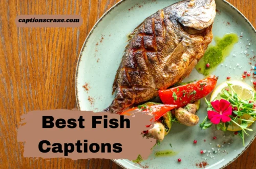 best-fish-captions-for-instagram