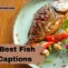 best-fish-captions-for-instagram
