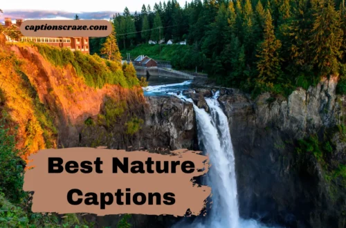 best-nature-instagram-captions