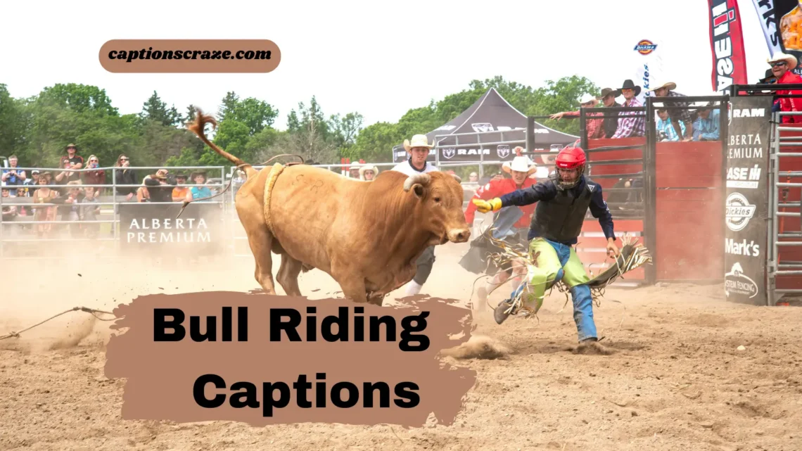 bull-riding-instagram-captions