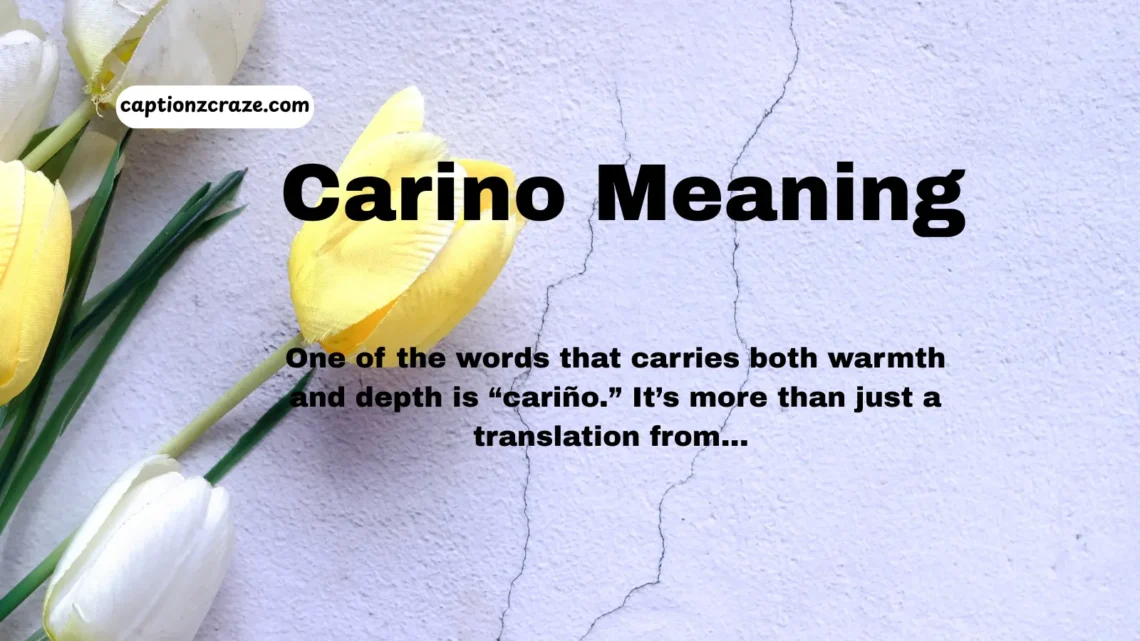 carino-meaning