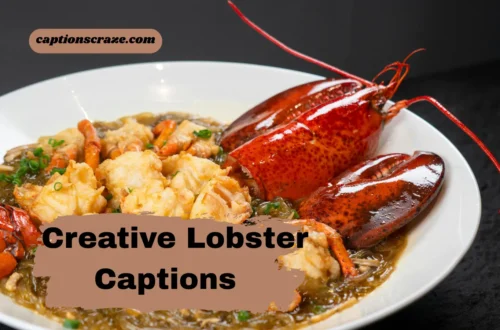 creative-lobster-captions-for-instagram