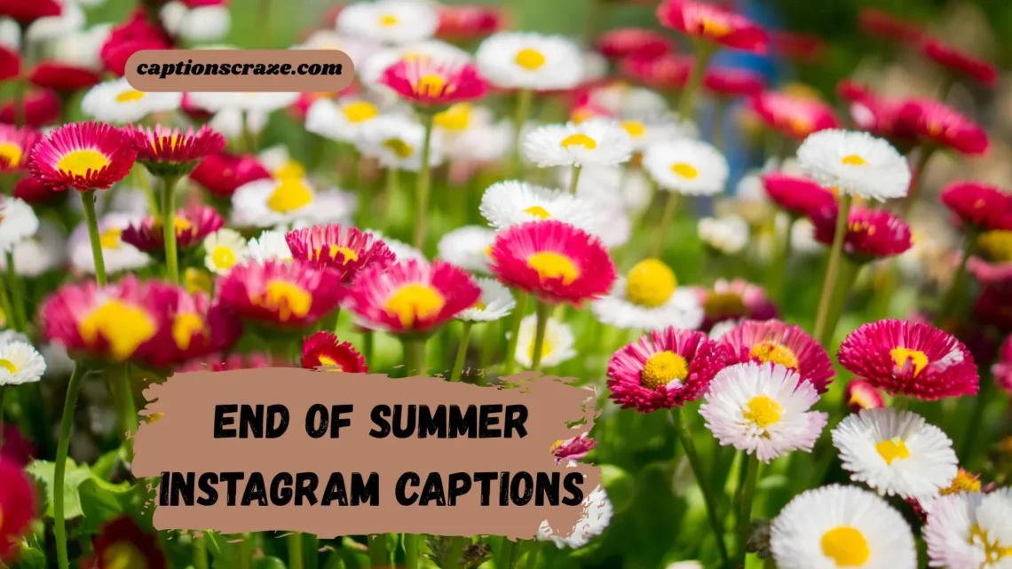 End of Summer Instagram Captions