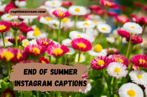 End of Summer Instagram Captions