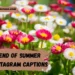 End of Summer Instagram Captions