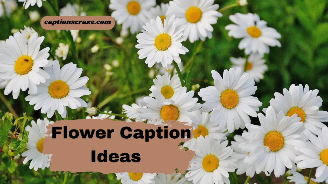 flower-caption-ideas-for-social-media