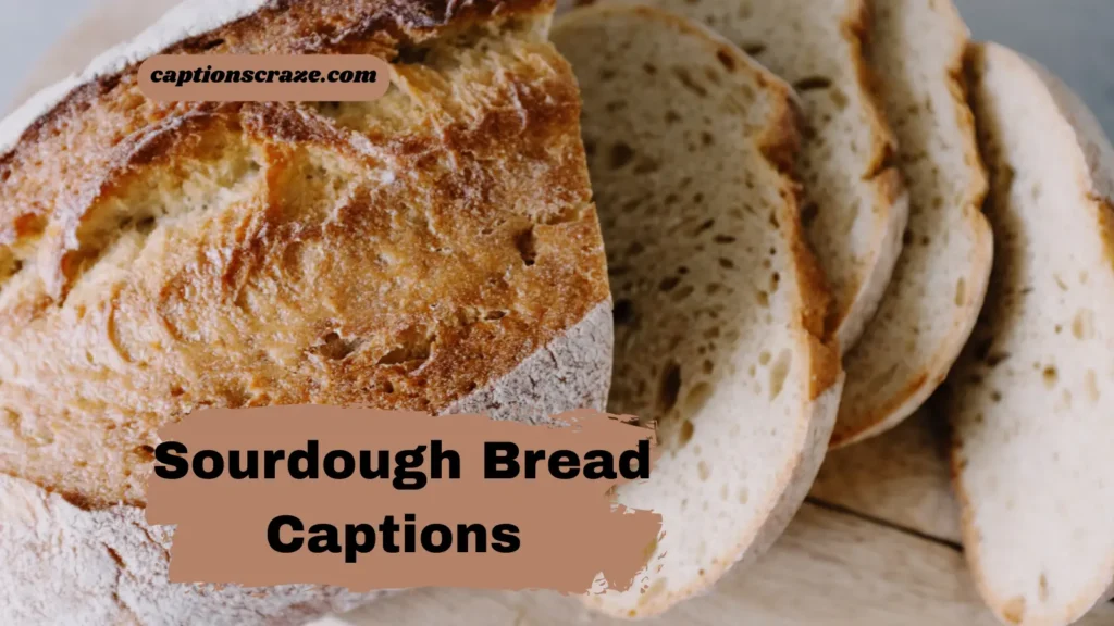 sourdough-bread-captions-for-instagram