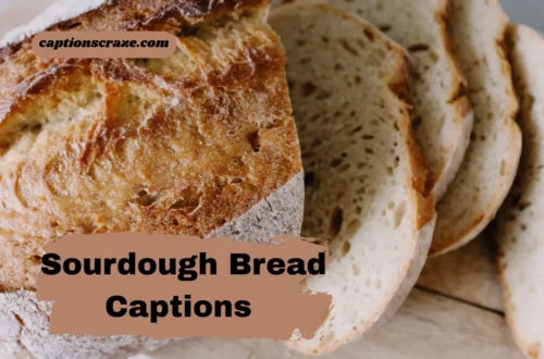 sourdough-bread-captions-for-instagram