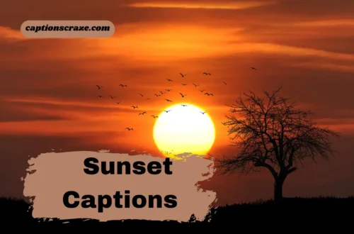 sunset-captions