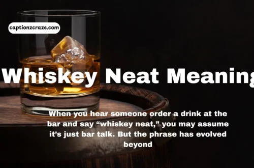 whiskey-neat-meaning