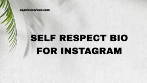 self-respect-bio-for-instagram
