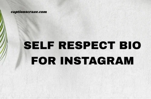 self-respect-bio-for-instagram